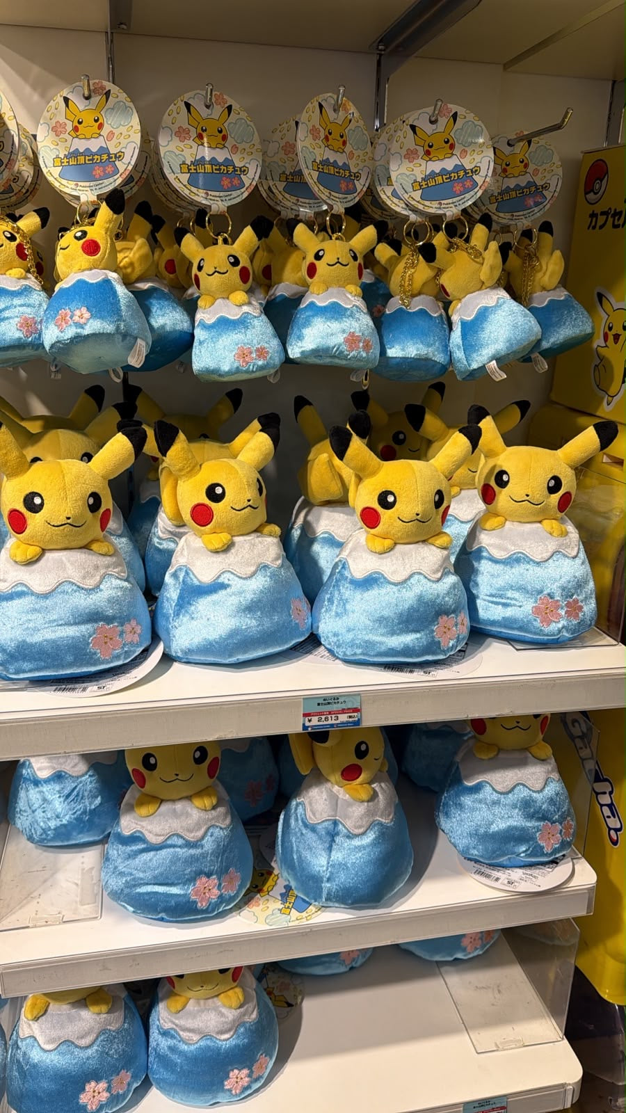 Pikachu Pokémon