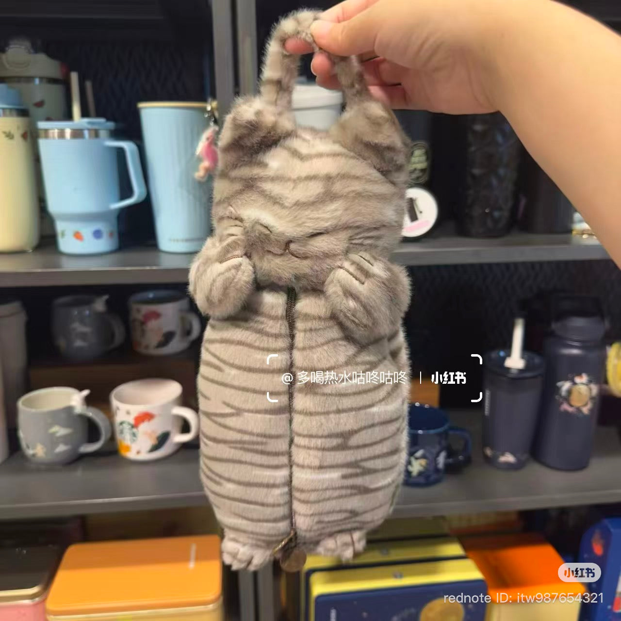 Bolsa gatito Taiwán 2026