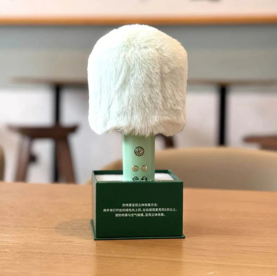 Microfono en forma de Paleta cargador USB para KTV Starbucks 2024 China