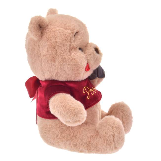 Winnie the Pooh Peluche Chocolate Disney Japon San Valentin