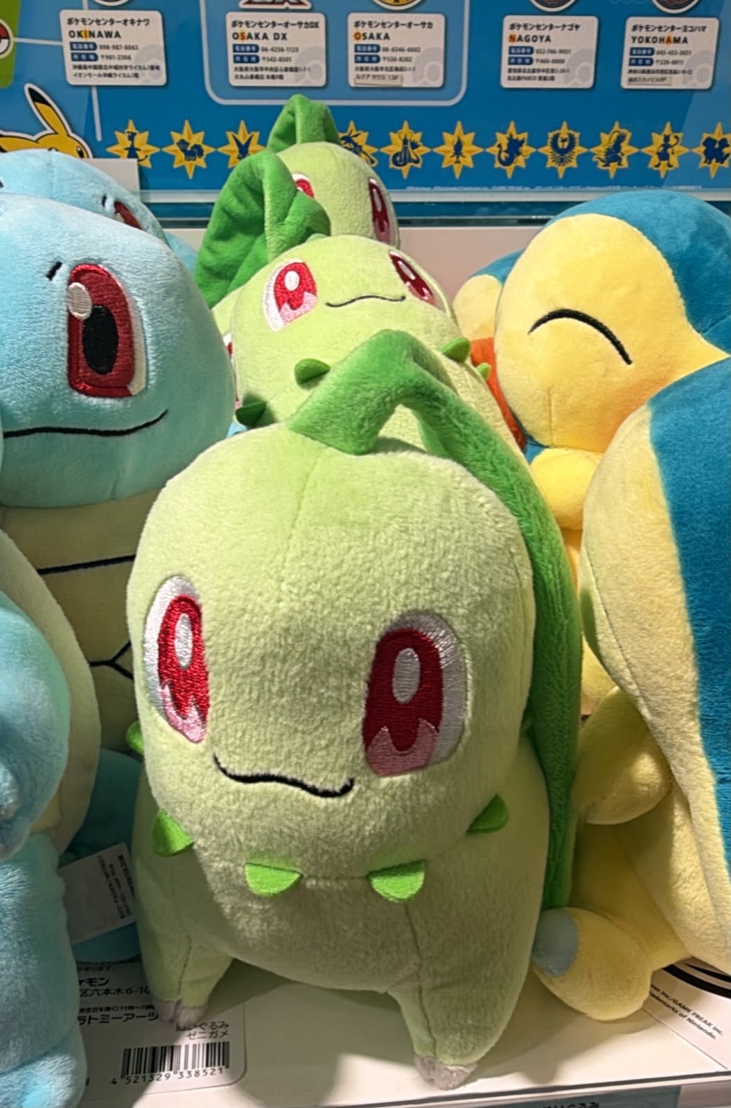 Chikorita Pokémon