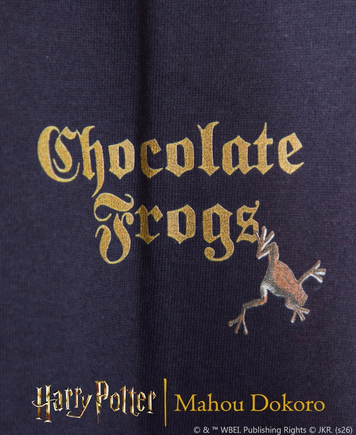 Harry Potter Chocolate Frogs T-Shirt Navy