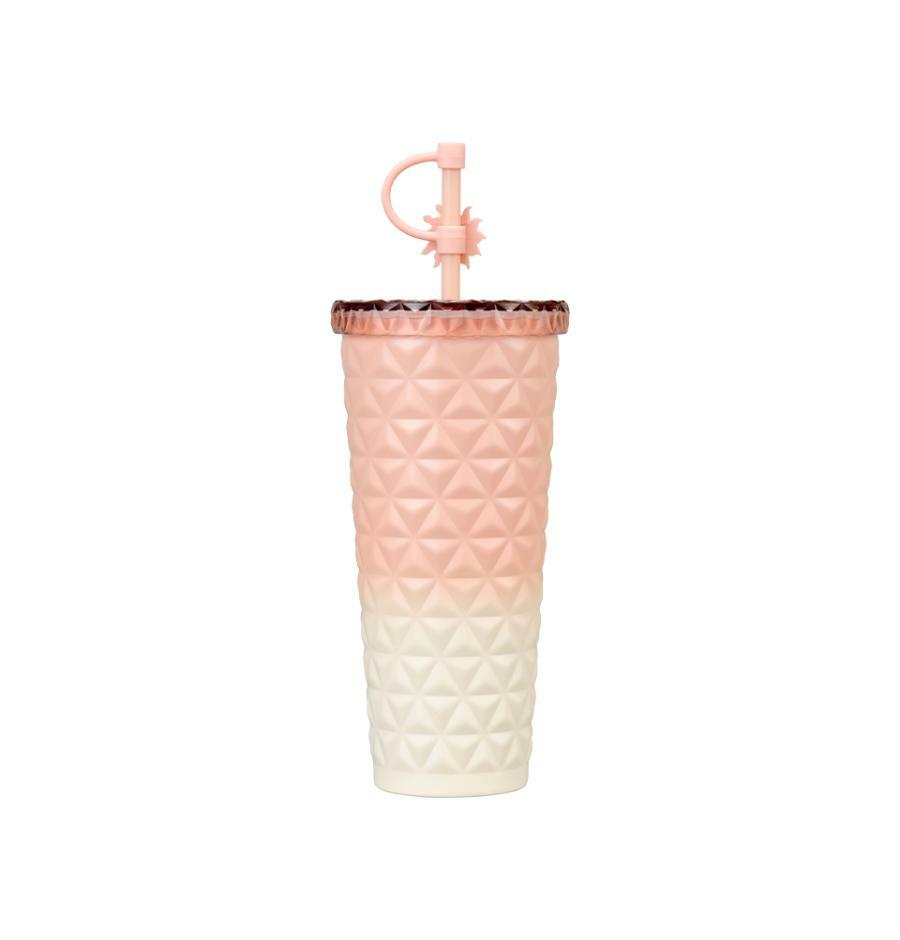 Vaso Dion de Acero Inoxidable Sunset Summer Dion Starbucks Korea 2025 Summer season1 series Pink Gradient Straw Cup 591ml 20.8oz