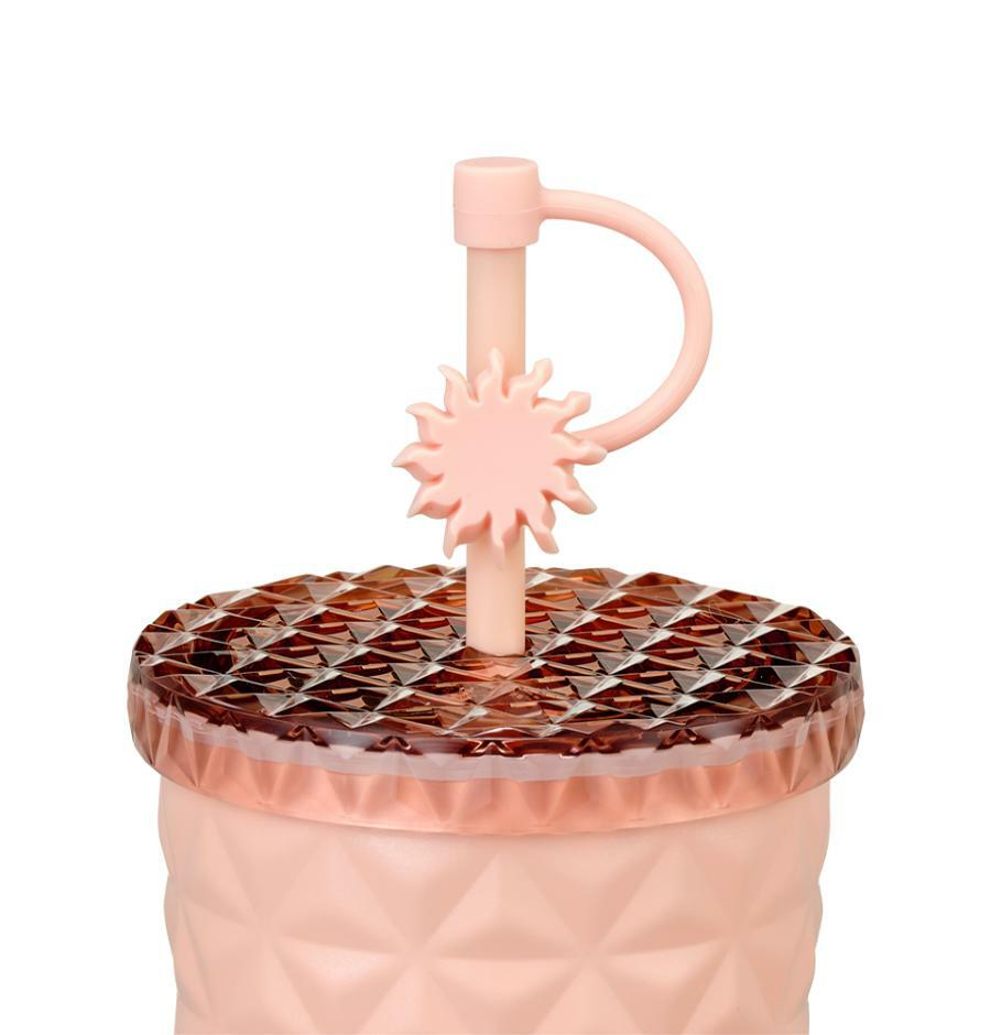 Vaso Dion de Acero Inoxidable Sunset Summer Dion Starbucks Korea 2025 Summer season1 series Pink Gradient Straw Cup 591ml 20.8oz