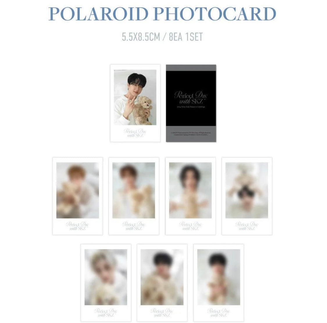 Stray Kids 2024 Season's Greetings - Perfect Day with SKZ