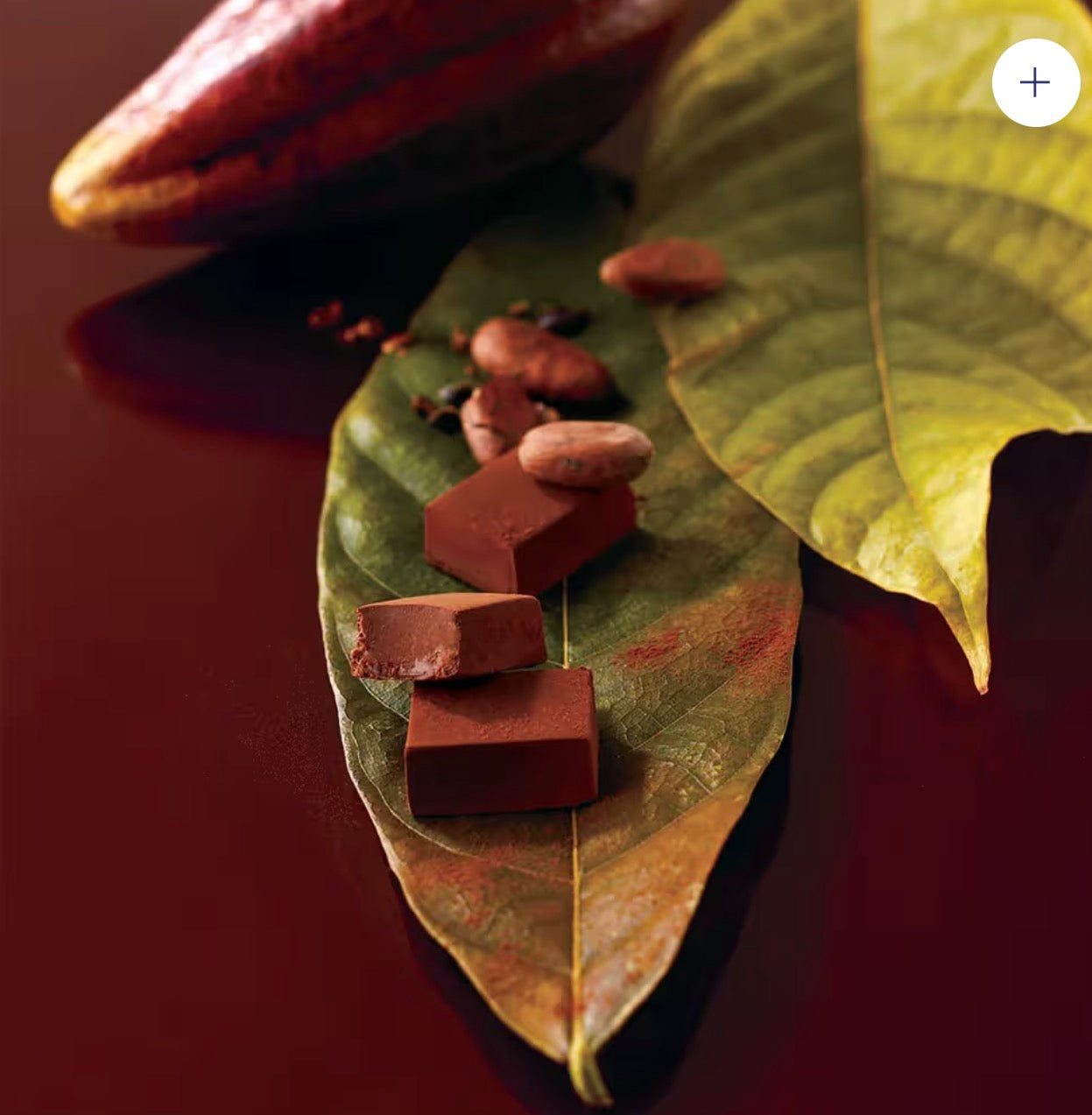 Nama Chocolate "Ecuador Sweet"   Japan Goods