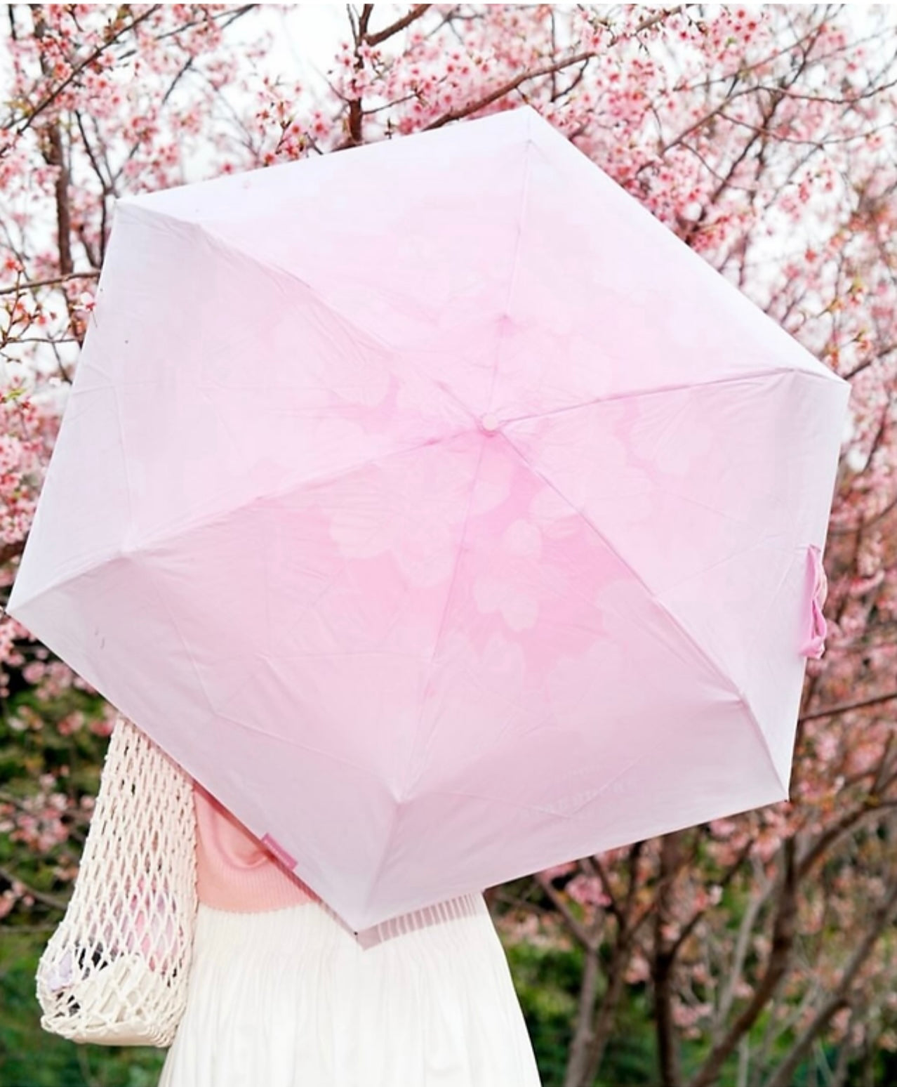 Paraguas primavera con estuche China Sakura Spring Walk 2024