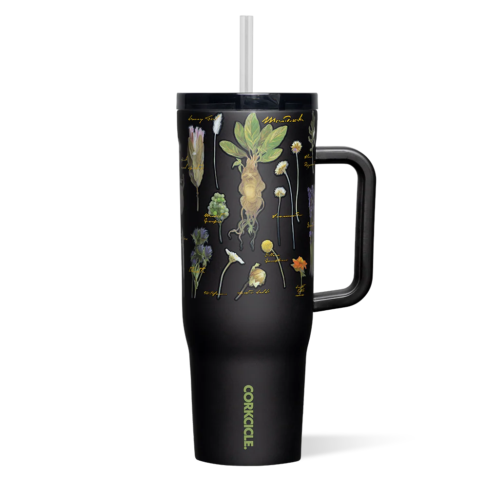Vaso Térmico HARRY POTTER CRUISER CON ASA Corkcicle