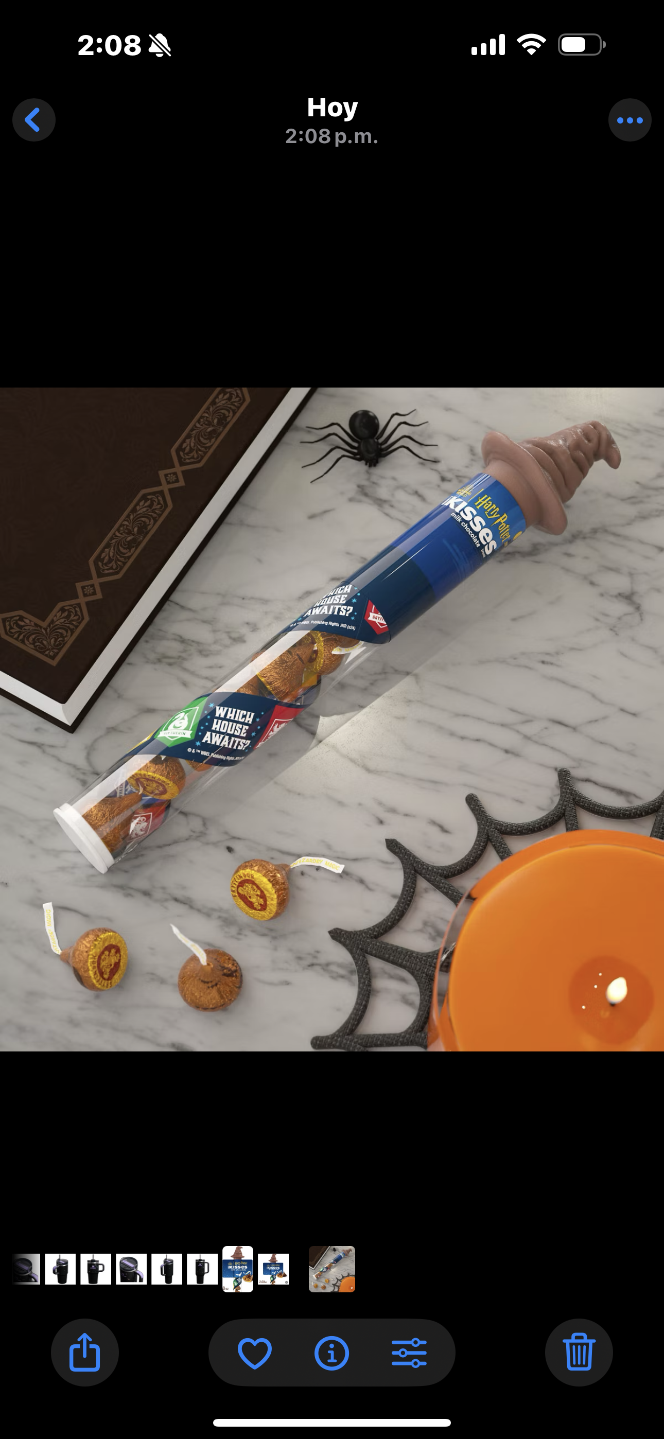 HERSHEY'S Kisses Milk Chocolate Harry Potter Halloween Candy Cane - 2.08oz