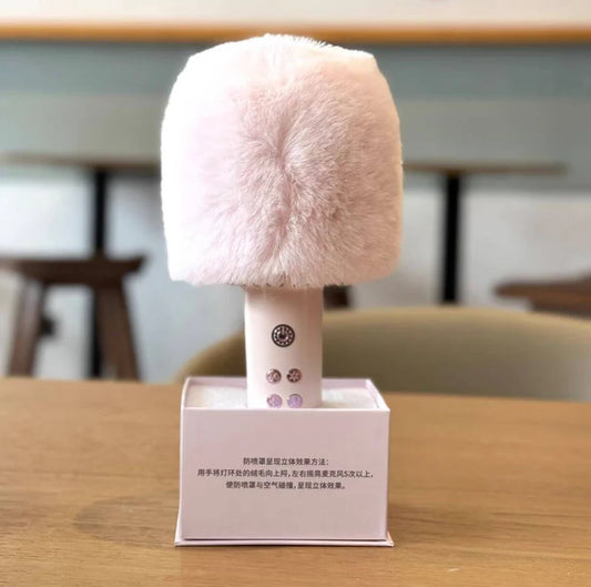 Microfono en forma de Paleta cargador USB para KTV Starbucks 2024 China