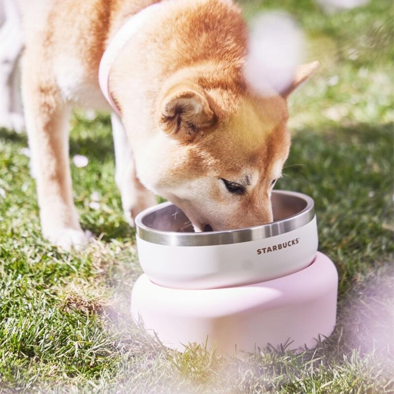 Bowl Mascota Starbucks China 2024 spring walk series