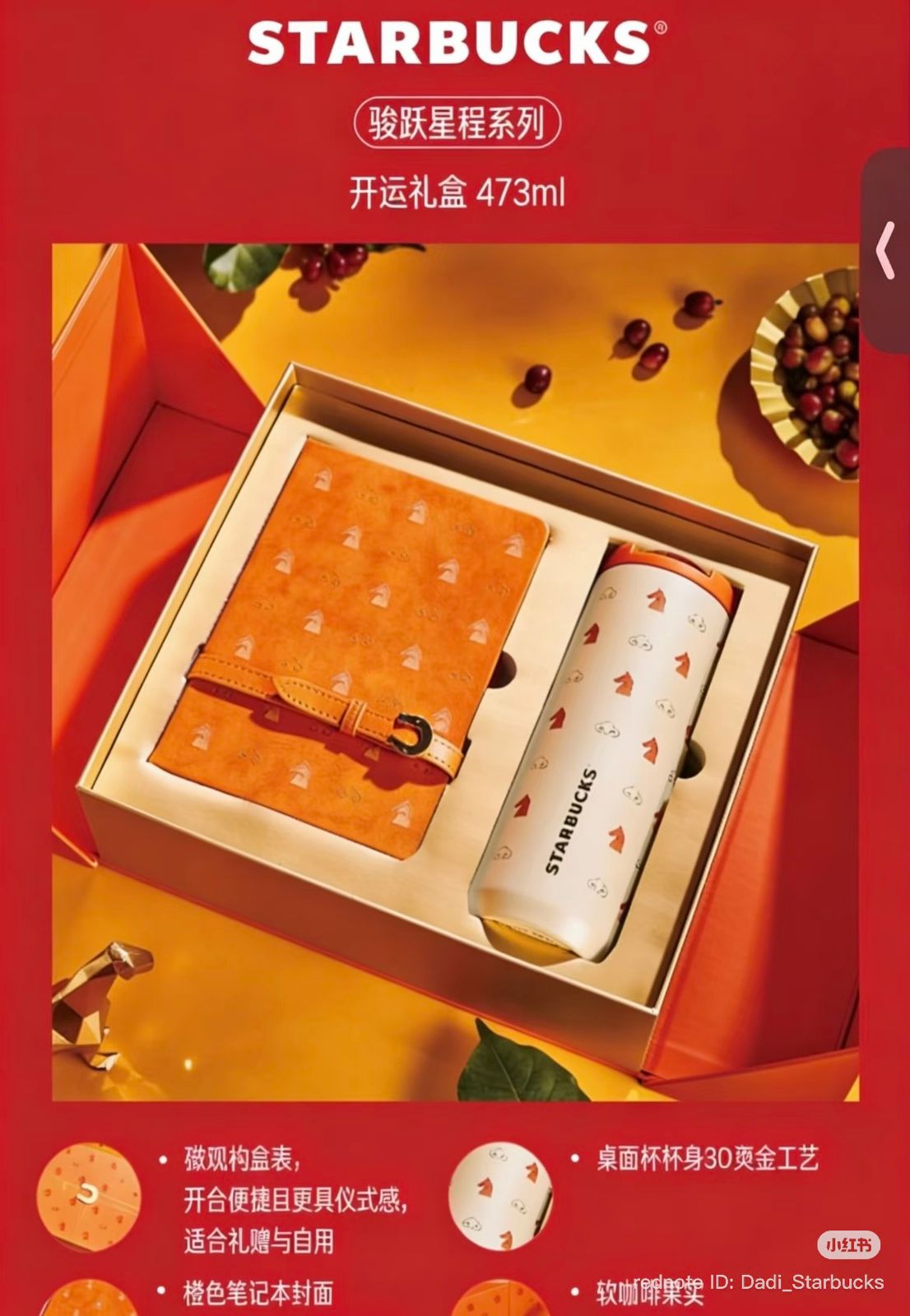 Horse Journey Gift Set 473 ml 🐎☕