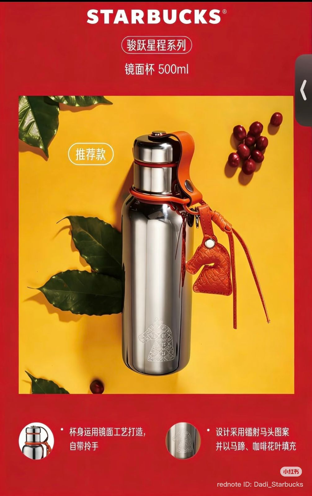 Horse Journey Mirror Bottle 500 ml 🐎✨