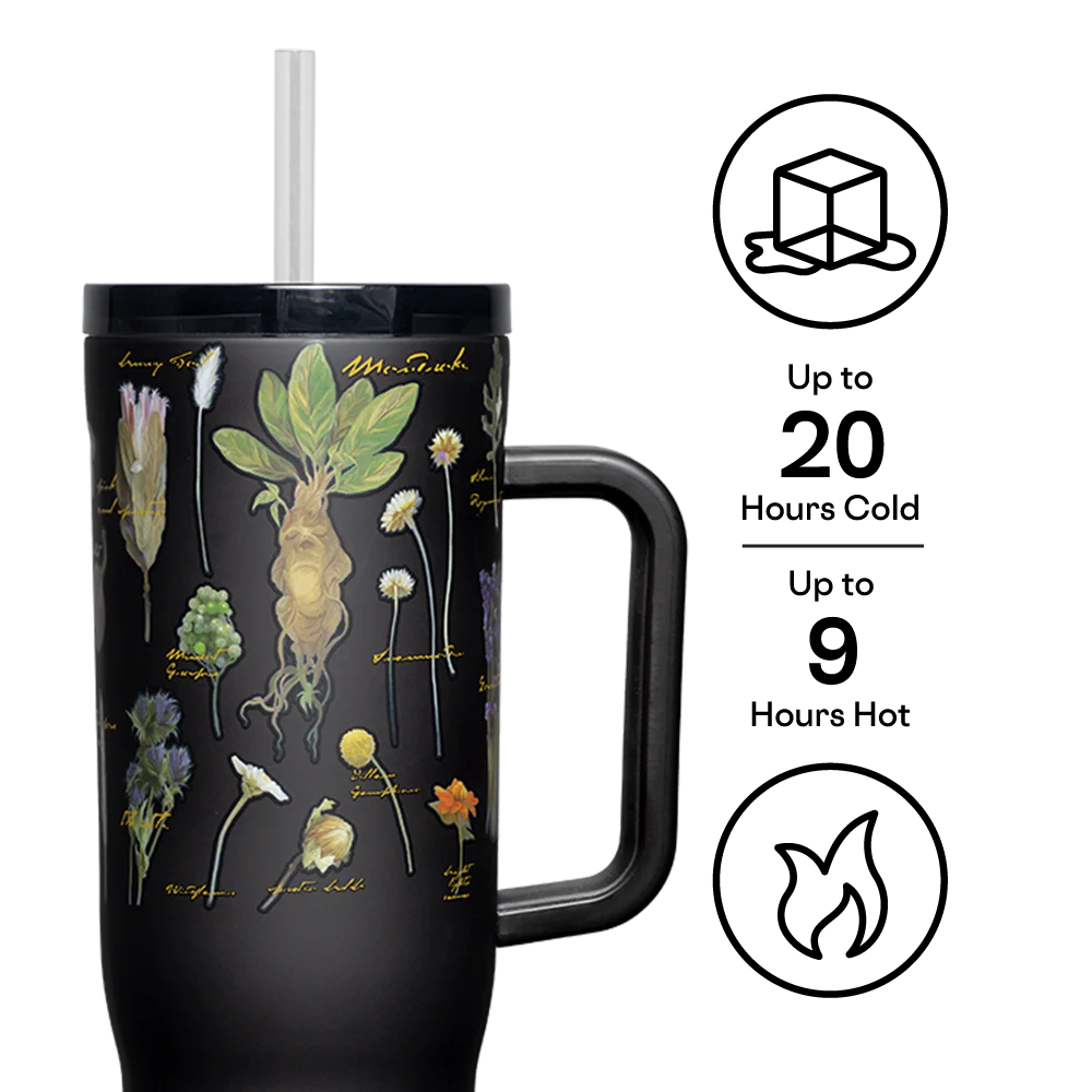 Vaso Térmico HARRY POTTER CRUISER CON ASA Corkcicle