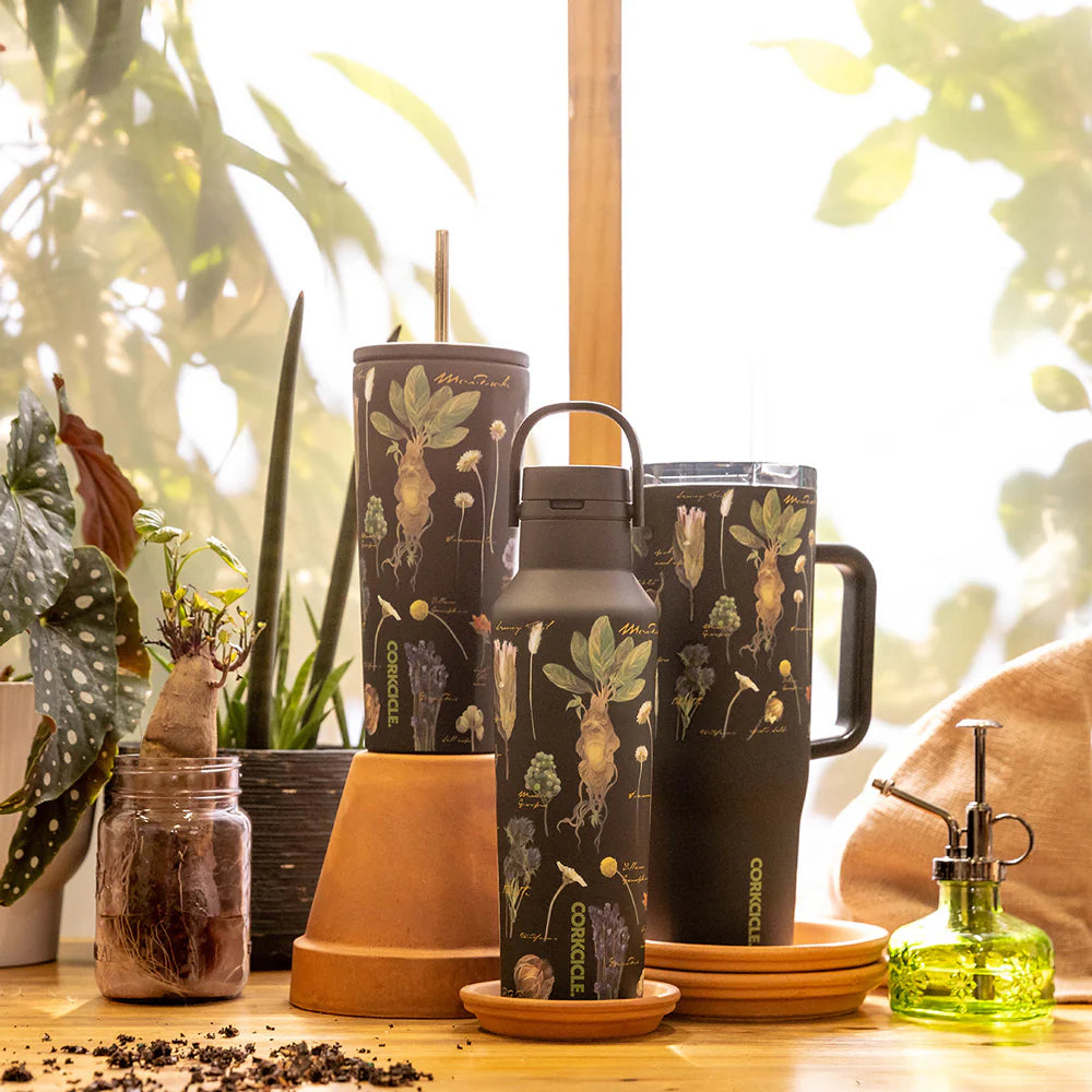 Vaso Térmico HARRY POTTER CRUISER CON ASA Corkcicle