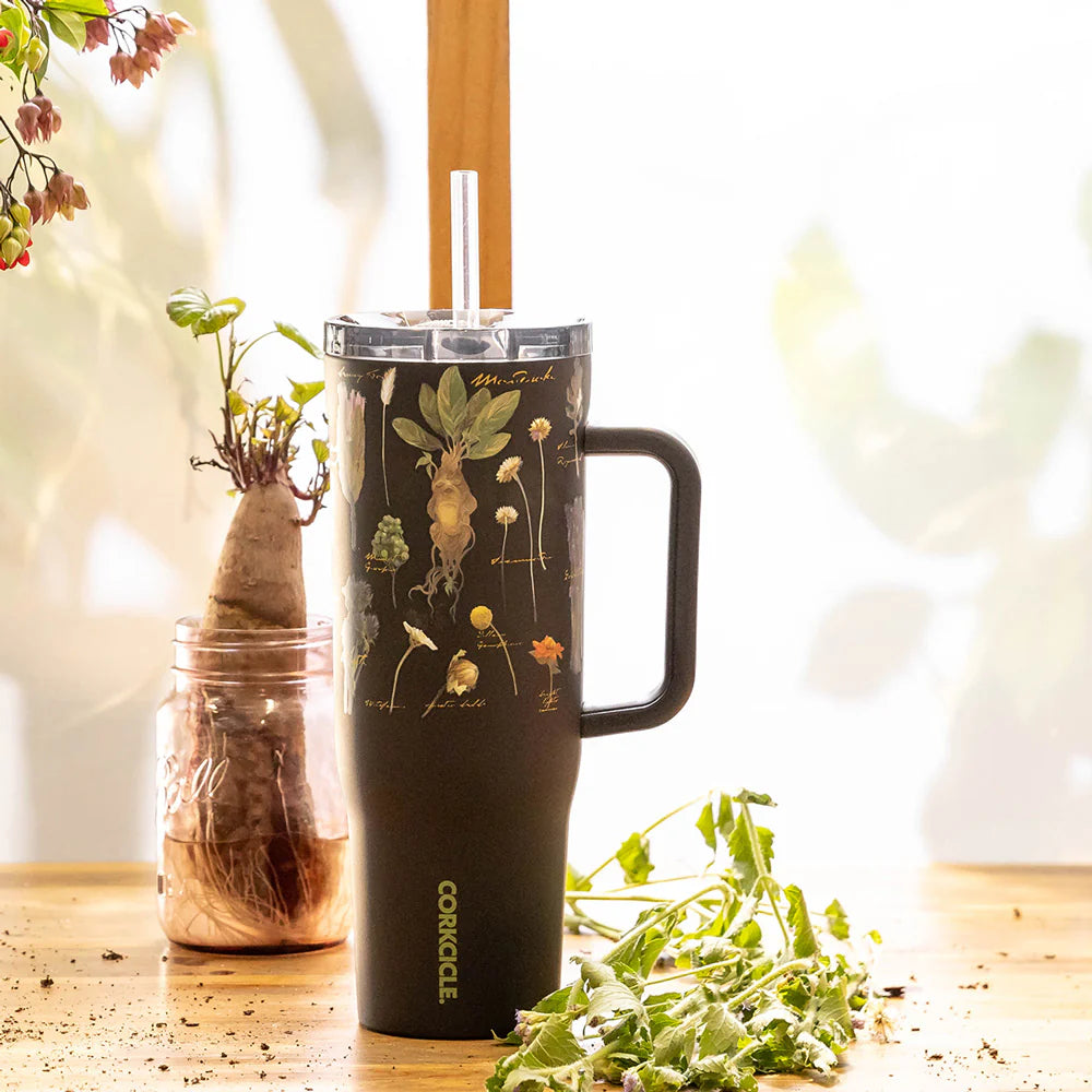 Vaso Térmico HARRY POTTER CRUISER CON ASA Corkcicle