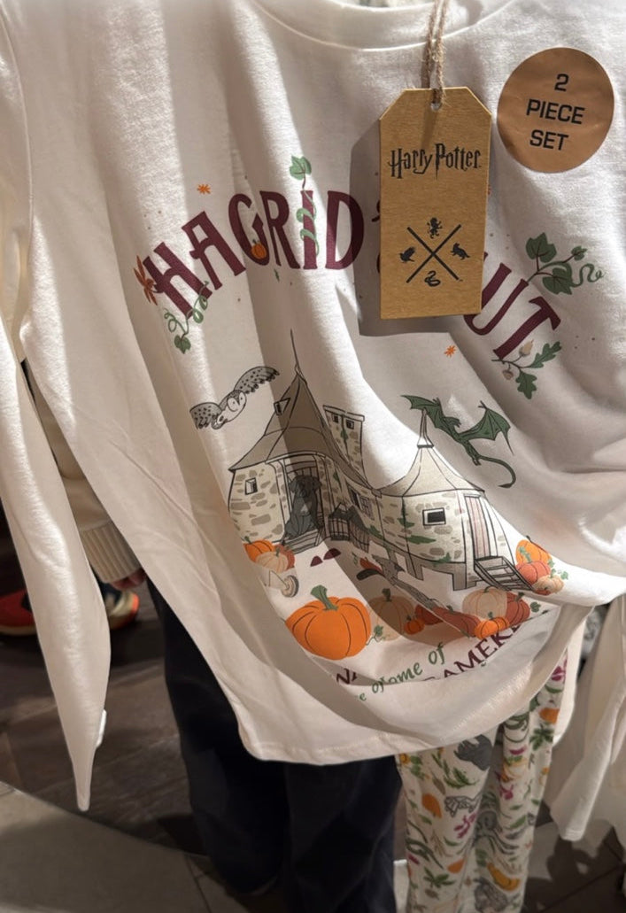 Harry Potter Halloween Hogsmeade 2 piece set