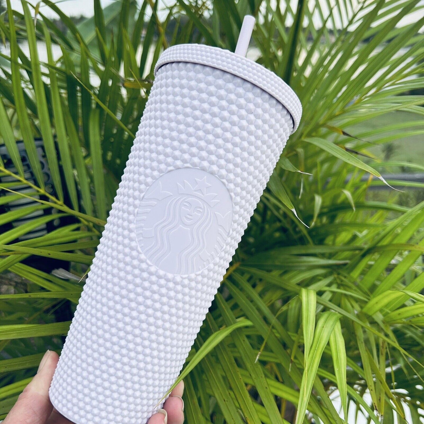 Studded Lavanda Tailandia